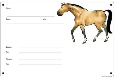 Comic Schild Pferd - Boxenschild Braunpferd
