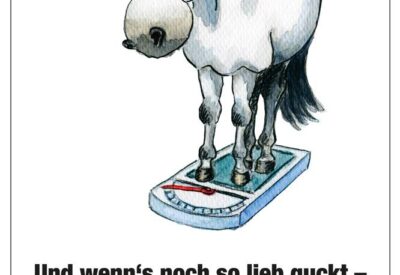 Comic Schild Pferd - Und wenns noch so lieb guckt - Bitte nicht füttern - Pferd ist auf Diät
