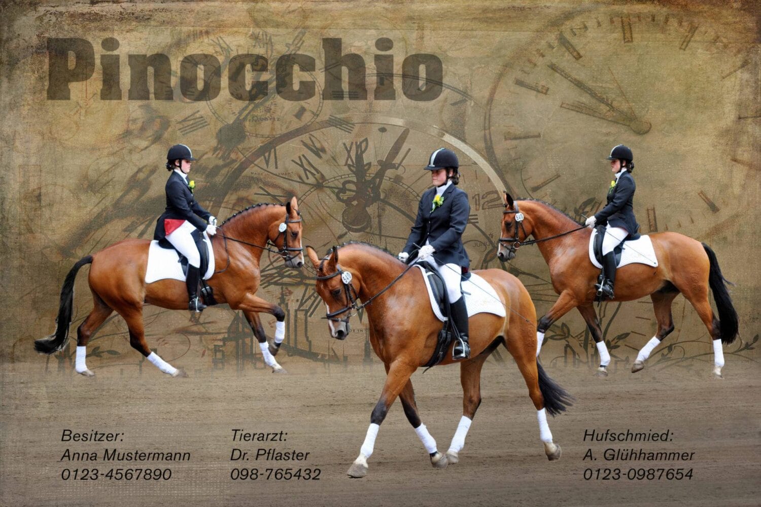 Foto-Collage mit 3 Bildern Dressur