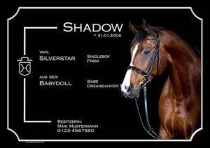 boxenschild shadow farbig rechts