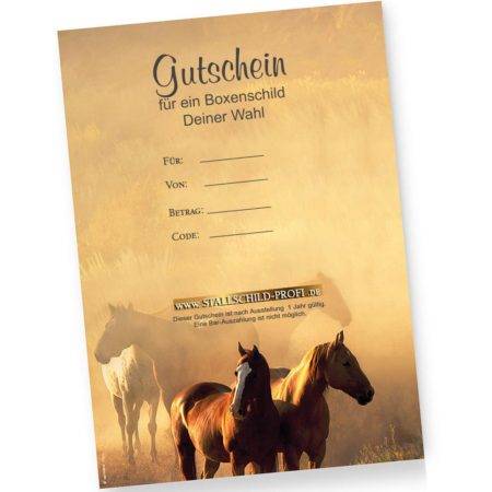Gutschein Briefpapier für Pferd und Reiter