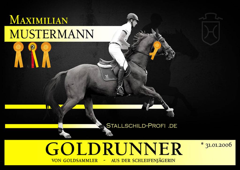 Goldrunner Schlefe Pferd Siegerpferd