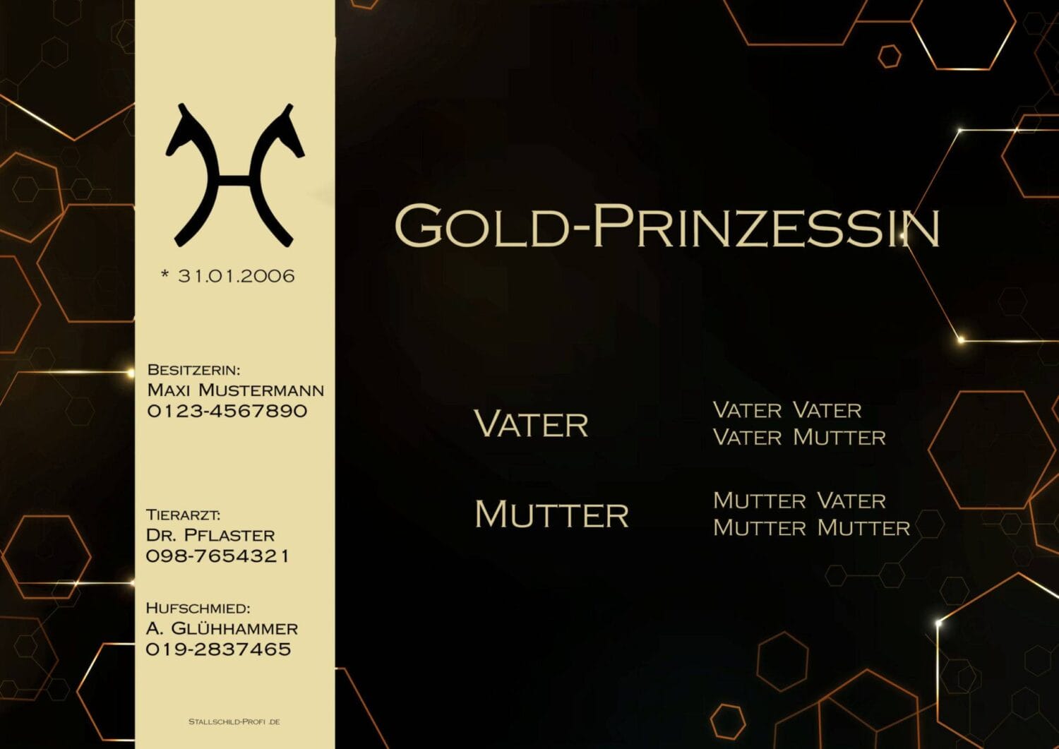 individuelles Boxenschild Gold Prinzessin selbst gestalten gold modern