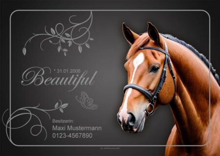 Ein Bild eines Pferdes mit dem Produktnamen „individuelles Boxenschild Beautiful gestalten lassen“.