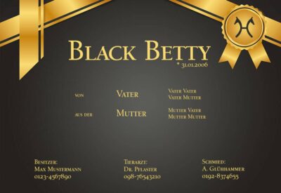individuelles Boxenschild Black Betty fürs Pferd mit deinen Pferdedaten vom Profi gestalten lassen