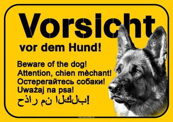 Hundewarnschilder - Ein Bild eines Deutschen Schäferhundes mit dem Hundeschild | Vorsicht vor dem Hund – mehrsprachig – gelb.