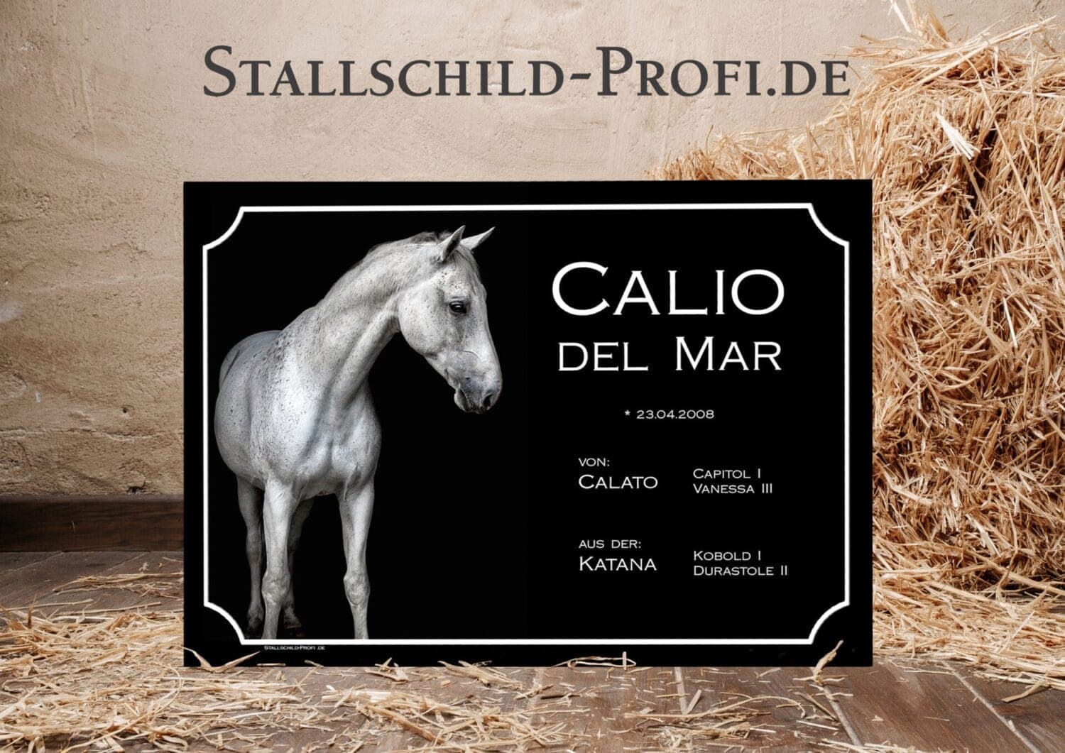 Calo del mar - individuelles Boxenschild Saphir gestalten lassen.