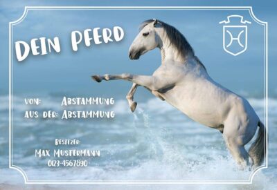 Ein Pferd springt ins Wasser mit dem Produktnamen „individuelles Boxenschild DEIN PFERD gestalten lassen“. individuelles Boxenschild DEIN PFERD mit Pferdenamen, Abstammung, Brandzeichen