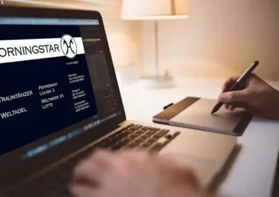 Boxenschild ohne Foto gestalten lassen Pferd stallschild-profi pferde Stallschild-Profi Horse-Sign horsesign stallschild-profi