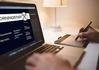 oxenschild ohne Foto gestalten lassen Pferd stallschild-profi pferde Stallschild-Profi Horse-Sign horsesign stallschild-profi