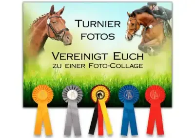 Fotocollagen Foto-Collage Pferd Hund stallschild-profi Turniersaison Stallschild-Profi Horse-Sign horsesign stallschild-profi